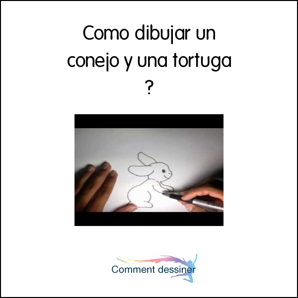 Como dibujar un conejo y una tortuga